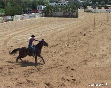 Campionato NBHA Lazio 2013, tappa da “Zino Ranch” 5 maggio