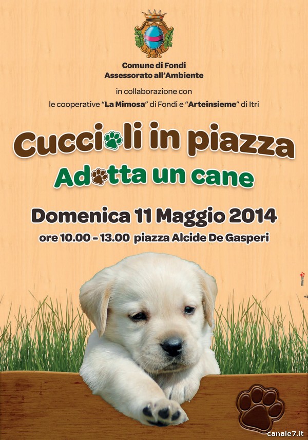 “Cuccioli in piazza – Adotta un cane”: Domenica 11 Maggio 2014 in piazza De Gasperi dalle ore 10.00 alle 13.00