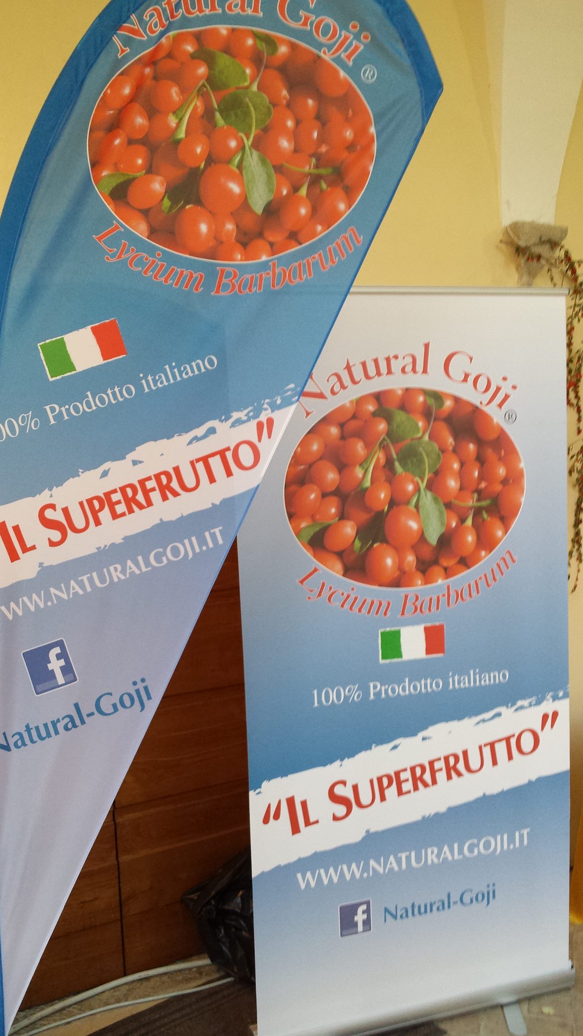 Le uniche bacche di goji italiane sono prodotte e distribuite a Fondi