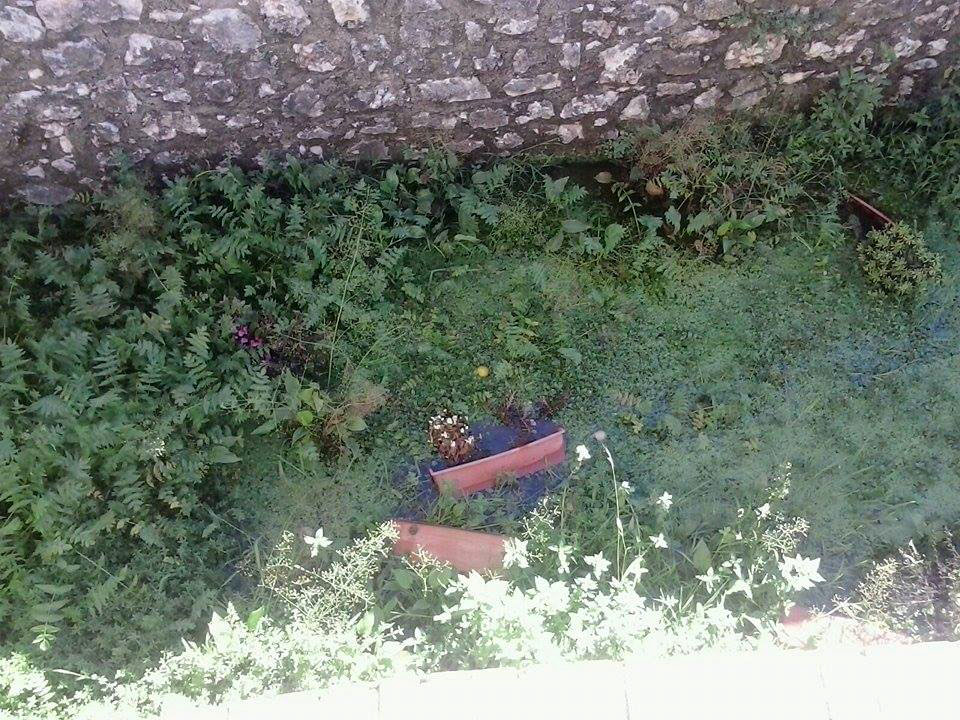 vandali all'ex idrovora monte san biagio (1)