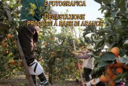 Seconda edizione della “Rievocazione della raccolta delle arance”: Domenica 30 Aprile 2017